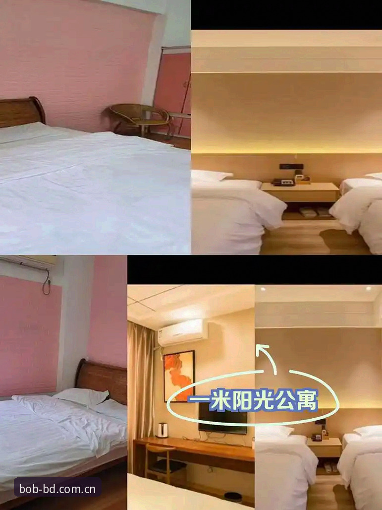 半岛体育平台服务体验使用指南详解
